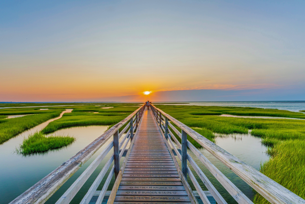 greysbeachyarmouthcapecod_1_EC_WEB Elyssa Cohen